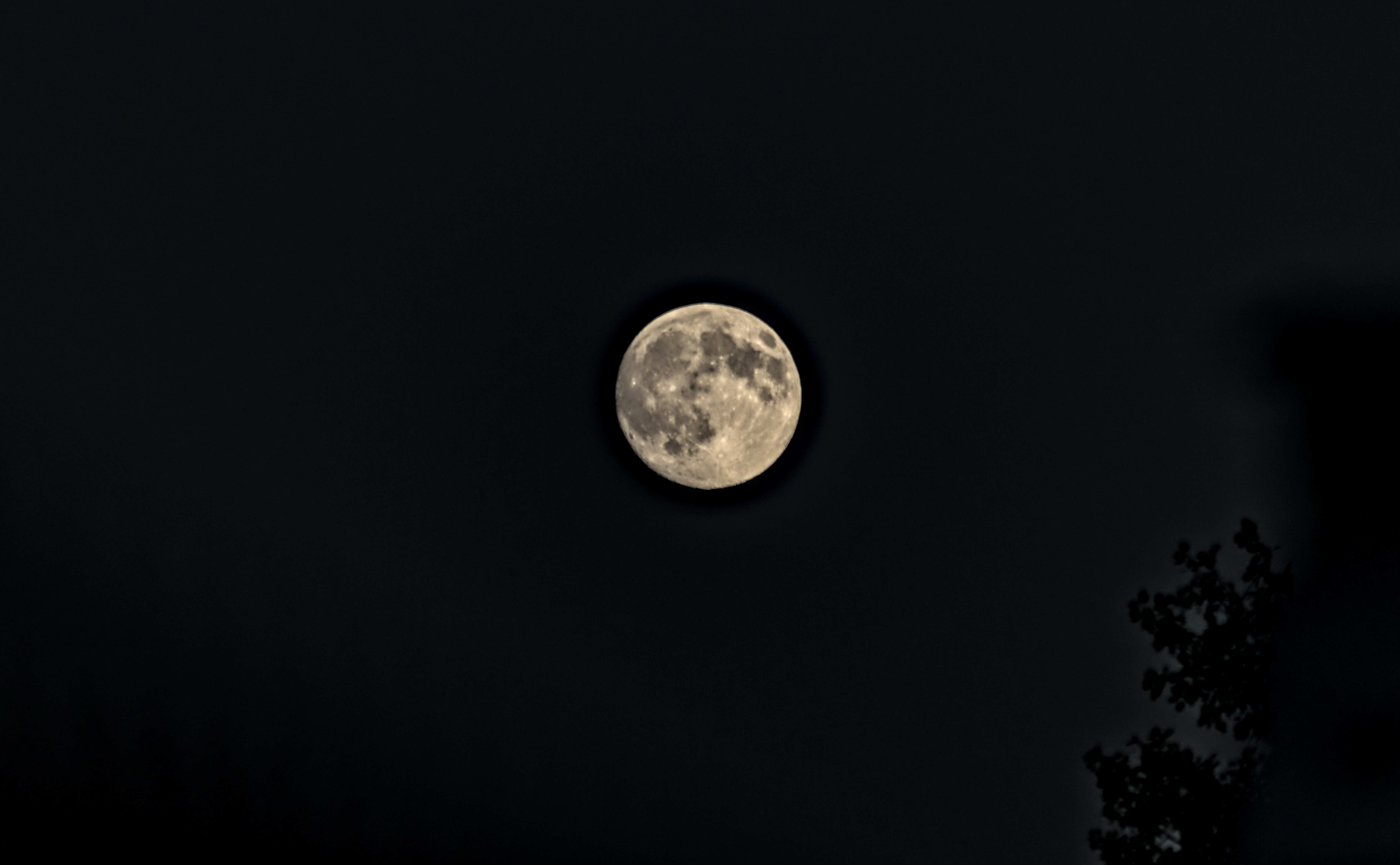 Tamron 28-300mm F3.5-6.3 (EF) - _I4A9870.jpg